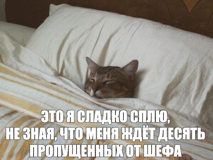 Зумеры — самые счастливые люди в России. Это не наше мнение, а данные ВЦИОМ. Почти половина (46%) тех, кто родился в 2001 году и позже, заявили, что довольны своей жизнью. Работа баристой, повышенная ставка, отмена евротуров и приколы эйчар-менеджеров — всё это их радует. Тревожных среди них всего 13%. А вот младшие миллениалы (1992-2000 гг.р.) — совсем другая история. Они ежедневно переживают из-за коммуналки, кредитов и пробок. Но главное — их беспокоят долгосрочные решения: семья, дети, квартира. Чай с их слезами, пожалуйста. Так что, если вы думали, что все молодые одинаковы, то ошибались. Зумеры живут в своём мире, а миллениалы — в своём. И это не просто слова, это статистика. 🫠. Зумеры, Миллениалы, ВЦИОМ, Россия, Общество