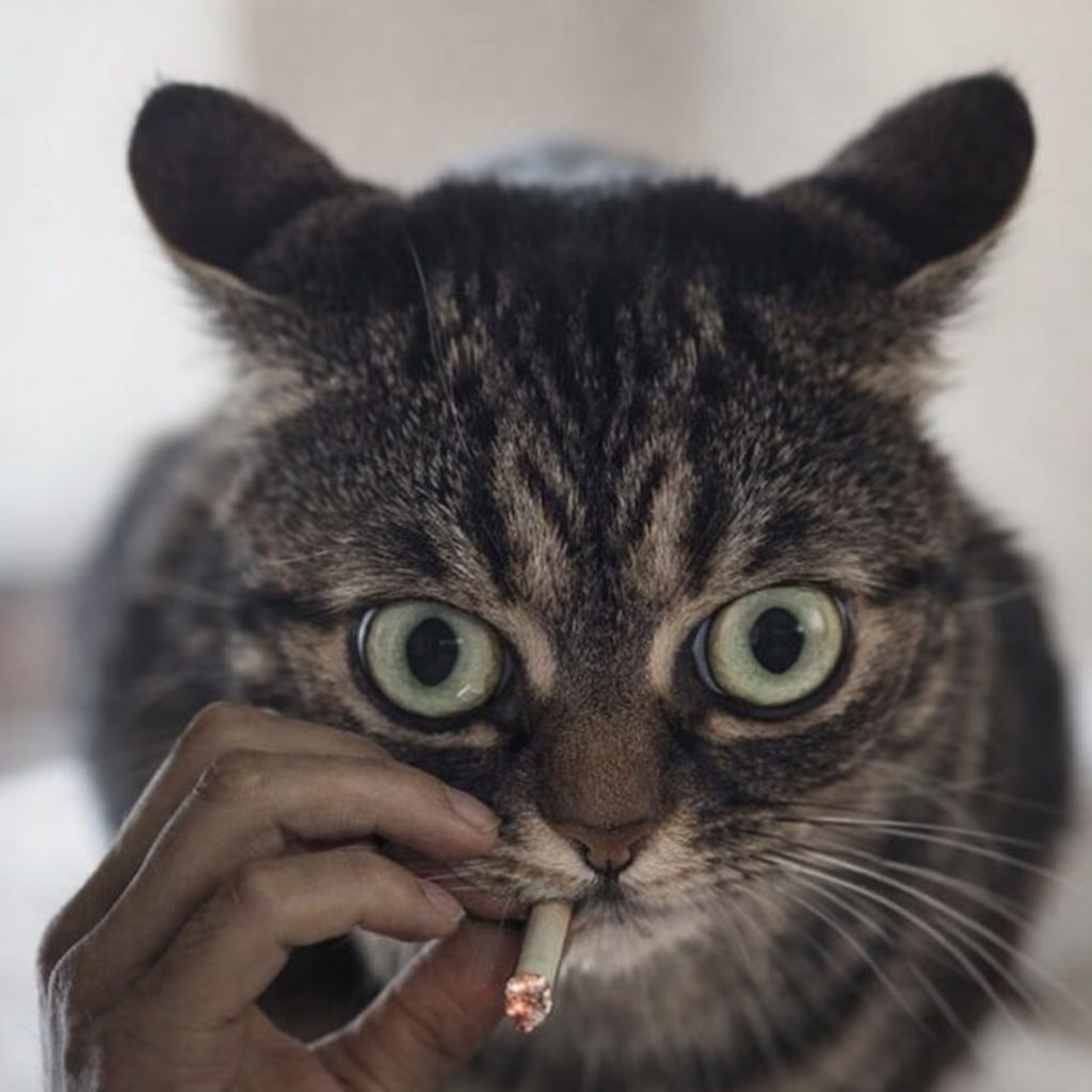 Петербурженка, сдавшая двухкомнатную квартиру семье с тремя детьми, столкнулась с невозможностью выселить арендаторов, которые перестали платить за жилье. Первый месяц аренды был оплачен, однако затем семья отказалась от дальнейших платежей и съезда. По словам хозяйки, арендаторы живут в квартире уже полгода без оплаты. Владелица квартиры рассказала, что арендаторы постоянно находили причины для задержки платежей: от отравлений до проблем с расчетным счетом. После обращения к юристу выяснилось, что семья является банкротом с задолженностью более 2,5 млн рублей. Выселить их можно только через суд. Глава семьи начал угрожать хозяйке, заявив, что обратится в полицию и затянет процесс. Арендаторы также игнорируют квитанции на коммунальные услуги, накопив долг более 300 тысяч рублей. Владелица квартиры пыталась отключить интернет, но арендаторы восстановили его и пригрозили разнести квартиру. Сейчас хозяйка вынуждена ждать решения суда, надеясь на благоприятный исход. Ситуация остается крайне сложной, а арендаторы продолжают пользоваться жильем без оплаты.. Петербург, аренда, суд, мошенничество, ЖКХ