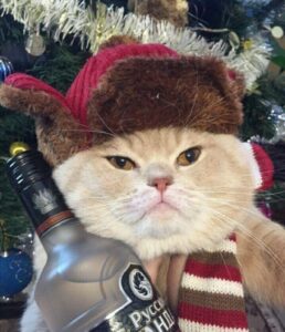 Сегодня — день рождения русской водки. Да, именно 31 января 1865 года Дмитрий Менделеев защитил свою докторскую диссертацию «О соединении спирта с водою». Это событие стало отправной точкой для легендарного напитка, который теперь ассоциируется с Россией по всему миру. 🥃 Кстати, Менделеев не изобретал водку, как многие думают. Его работа была посвящена изучению свойств спиртовых растворов, но именно она легла в основу стандартов производства водки. Сегодня этот напиток — не просто алкоголь, а часть культуры, истории и даже политики. Как отпраздновать? Просто. Поднимите стопку, но помните: всё хорошо в меру. Иначе завтра будете вспоминать Менделеева с сожалением. 😉 P.S. Если вы думаете, что водка — это просто, то вы ошибаетесь. Это наука, искусство и немного магии.. Дмитрий Менделеев, русская водка, история, алкоголь, культура