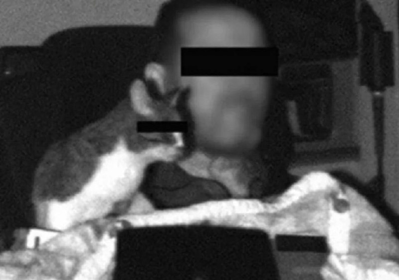 В Германии произошел необычный инцидент, связанный с нарушением правил дорожного движения. Камера контроля скорости зафиксировала грузовик, который превысил допустимый лимит. Однако самым удивительным оказалось то, что за рулем транспортного средства находился кот. На снимке, сделанном камерой, отчетливо видно животное, которое, судя по всему, находилось в кабине водителя. Лицо кота было замазано для сохранения его анонимности, однако хвост остался виден. Власти пока не комментируют, как животное могло оказаться за рулем. Этот случай вызвал широкий резонанс в социальных сетях, где пользователи активно обсуждают возможные причины произошедшего. Эксперты отмечают, что подобные ситуации крайне редки и требуют тщательного расследования. Пока неизвестно, кто несет ответственность за инцидент. Власти Германии намерены провести проверку и выяснить все обстоятельства произошедшего.. Германия, нарушение ПДД, кот, грузовик, камера контроля скорости