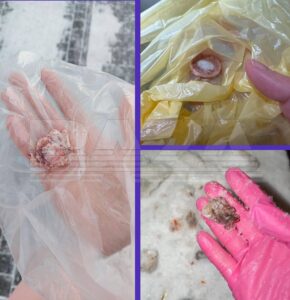 В московском районе Солнцево зафиксированы случаи массового отравления собак. По данным местных жителей, за два дня погибло семь домашних питомцев, ещё одна собака находится в реанимации. Хозяева животных обнаружили во дворах характерные розовые следы яда и подозрительные куски мяса, разложенные рядами. Полиция возбудила уголовное дело по статье о жестоком обращении с животными, повлёкшем их гибель. По словам жителей, яд разбрасывают в местах выгула собак: у футбольного поля, в скейт-парке и на дорожках к ним. В домовых чатах активизировались неизвестные лица, угрожающие продолжать травить животных. Подобные случаи уже происходили ранее. Восемь пострадавших хозяев написали заявления в полицию. Правоохранители проводят расследование и призывают граждан быть бдительными.. Солнцево, отравление собак, догхантеры, Москва, уголовное дело