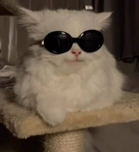 Стрельцы, внимание! Эта неделя обещает быть для вас особенно удачной. Астрологи уверены: звёзды благоволят вам, и это идеальное время для реализации амбиций. Что ждёт? Выгодные сделки, предложения о сотрудничестве и даже повышение по службе. Если вы давно мечтали о карьерном рывке — сейчас самое время действовать. Не упустите шанс! Совет от экспертов: сосредоточьтесь на создании новых партнёрств и обмене опытом. Это может стать ключом к вашему успеху. 🚀 Так что, Стрельцы, держите глаза открытыми и будьте готовы к приятным сюрпризам. Удача уже на вашей стороне! 🎯✨. Стрельцы, астрология, удача, карьера, партнёрства