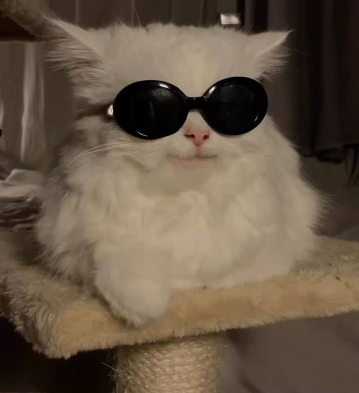 Стрельцы, внимание! Эта неделя обещает быть для вас особенно удачной. Астрологи уверены: звёзды благоволят вам, и это идеальное время для реализации амбиций. Что ждёт? Выгодные сделки, предложения о сотрудничестве и даже повышение по службе. Если вы давно мечтали о карьерном рывке — сейчас самое время действовать. Не упустите шанс! Совет от экспертов: сосредоточьтесь на создании новых партнёрств и обмене опытом. Это может стать ключом к вашему успеху. 🚀 Так что, Стрельцы, держите глаза открытыми и будьте готовы к приятным сюрпризам. Удача уже на вашей стороне! 🎯✨. Стрельцы, астрология, удача, карьера, партнёрства