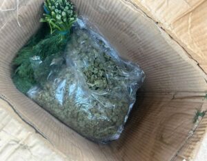 В Дагестане сотрудники правоохранительных органов предотвратили попытку незаконного провоза крупной партии наркотиков. Почти 130 кг марихуаны были обнаружены в ходе проверки транспортного средства, следовавшего через регион. По предварительной информации, наркотическое вещество было замаскировано под укроп, что, однако, не позволило преступникам избежать внимания сотрудников правоохранительных органов. Всего было изъято несколько мешков с запрещенным веществом. В настоящее время проводятся оперативно-розыскные мероприятия для установления всех обстоятельств происшествия. Лица, причастные к попытке контрабанды, задержаны и находятся под следствием. Уголовное дело возбуждено по статье, предусматривающей ответственность за незаконный оборот наркотических средств. Этот инцидент стал еще одним примером активной работы правоохранительных органов по борьбе с наркотрафиком в регионе. Власти продолжают усиливать меры по пресечению подобных преступлений.. Дагестан, марихуана, наркотрафик, правоохранительные органы, контрабанда