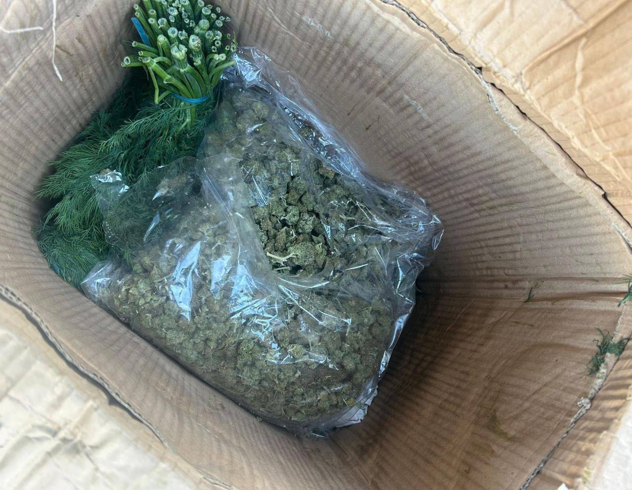 В Дагестане сотрудники правоохранительных органов предотвратили попытку незаконного провоза крупной партии наркотиков. Почти 130 кг марихуаны были обнаружены в ходе проверки транспортного средства, следовавшего через регион. По предварительной информации, наркотическое вещество было замаскировано под укроп, что, однако, не позволило преступникам избежать внимания сотрудников правоохранительных органов. Всего было изъято несколько мешков с запрещенным веществом. В настоящее время проводятся оперативно-розыскные мероприятия для установления всех обстоятельств происшествия. Лица, причастные к попытке контрабанды, задержаны и находятся под следствием. Уголовное дело возбуждено по статье, предусматривающей ответственность за незаконный оборот наркотических средств. Этот инцидент стал еще одним примером активной работы правоохранительных органов по борьбе с наркотрафиком в регионе. Власти продолжают усиливать меры по пресечению подобных преступлений.. Дагестан, марихуана, наркотрафик, правоохранительные органы, контрабанда