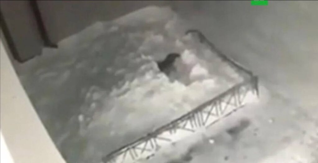 В Домодедово произошло чрезвычайное происшествие: 17-летний подросток выжил после падения с высоты 16-го этажа. Инцидент случился на улице Гагарина, где молодой человек занимался мытьем окон. По предварительным данным, подросток потерял равновесие и упал с большой высоты. Спасательные службы оперативно отреагировали на вызов и доставили пострадавшего в ближайшую больницу. Медики диагностировали у него закрытые переломы обеих бедренных костей. В настоящее время его состояние оценивается как тяжелое. Следственные органы начали проверку обстоятельств происшествия. Предполагается, что причиной падения могла стать неосторожность или отсутствие страховочных средств при работе на высоте. Родственники подростка находятся рядом с ним в больнице. Этот случай стал еще одним напоминанием о важности соблюдения мер безопасности при выполнении работ на высоте. Власти призывают граждан быть более внимательными и использовать специальное оборудование для предотвращения подобных трагедий.. Домодедово, ЧП, Подросток, Падение с высоты, Мытье окон