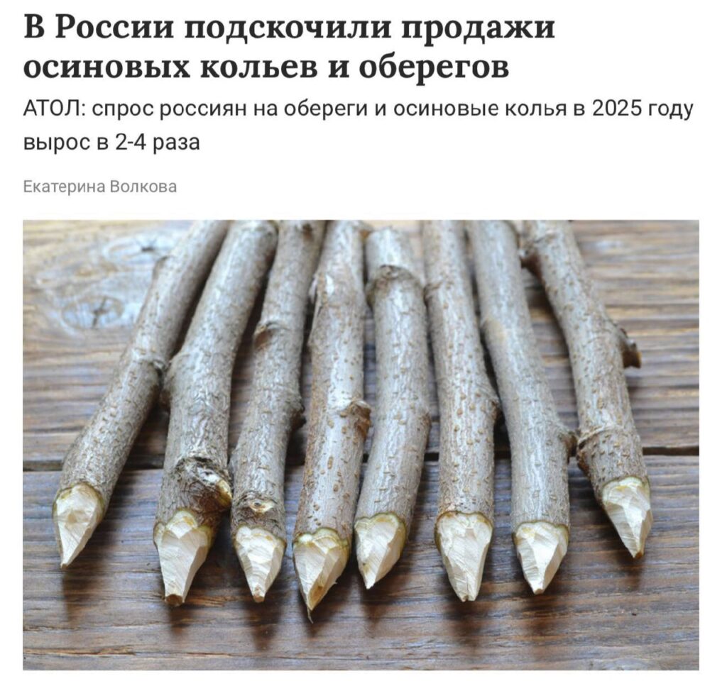 Россия погружается в магию. По данным АТОЛ, продажи магических атрибутов выросли на 50%. Осиновые колья против вампиров стали лидерами спроса — их продажи увеличились в 4 раза. 🧛 Стеклянные шары и куклы вуду тоже не отстают. Спрос на шары вырос на 101%, а на куклы — на 63%. Видимо, россияне решили взять судьбу в свои руки, даже если для этого нужно немного колдовства. 🔮 Что стоит за этим бумом? Возможно, тревожные времена или просто мода на эзотерику. Но факт остается фактом: магия стала частью повседневной жизни. И кто знает, может, скоро в каждом доме будет свой шаман. 🪄. магия, Россия, осиновые колья, куклы вуду, стеклянные шары
