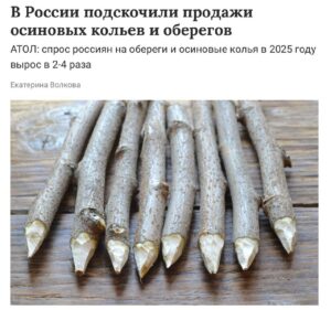 Россия погружается в магию. По данным АТОЛ, продажи магических атрибутов выросли на 50%. Осиновые колья против вампиров стали лидерами спроса — их продажи увеличились в 4 раза. 🧛 Стеклянные шары и куклы вуду тоже не отстают. Спрос на шары вырос на 101%, а на куклы — на 63%. Видимо, россияне решили взять судьбу в свои руки, даже если для этого нужно немного колдовства. 🔮 Что стоит за этим бумом? Возможно, тревожные времена или просто мода на эзотерику. Но факт остается фактом: магия стала частью повседневной жизни. И кто знает, может, скоро в каждом доме будет свой шаман. 🪄. магия, Россия, осиновые колья, куклы вуду, стеклянные шары