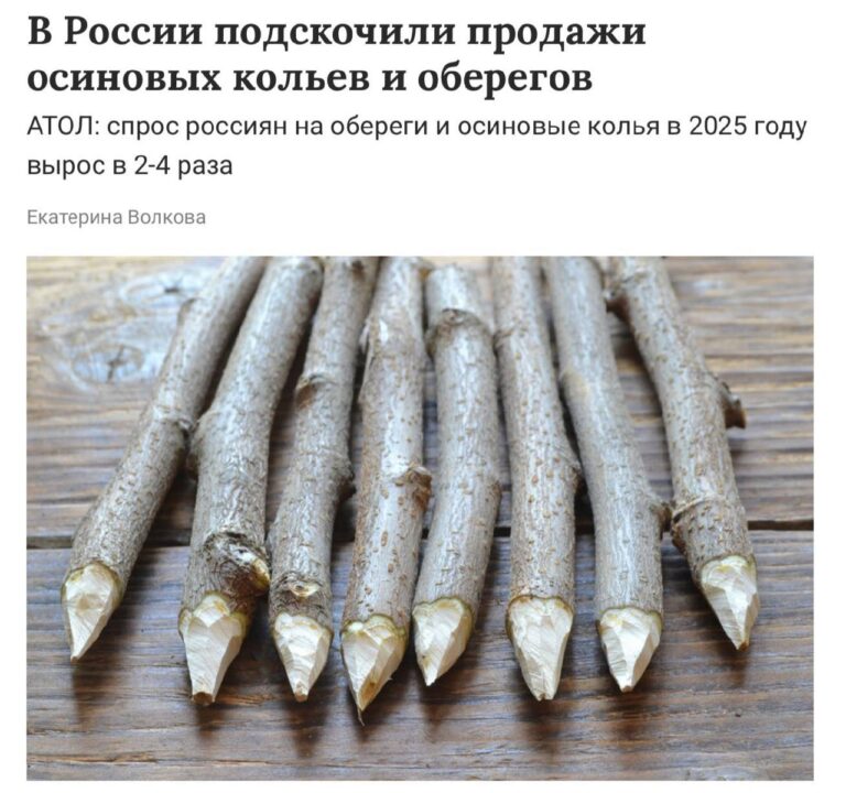 Россия погружается в магию. По данным АТОЛ, продажи магических атрибутов выросли на 50%. Осиновые колья против вампиров стали лидерами спроса — их продажи увеличились в 4 раза. 🧛 Стеклянные шары и куклы вуду тоже не отстают. Спрос на шары вырос на 101%, а на куклы — на 63%. Видимо, россияне решили взять судьбу в свои руки, даже если для этого нужно немного колдовства. 🔮 Что стоит за этим бумом? Возможно, тревожные времена или просто мода на эзотерику. Но факт остается фактом: магия стала частью повседневной жизни. И кто знает, может, скоро в каждом доме будет свой шаман. 🪄. магия, Россия, осиновые колья, куклы вуду, стеклянные шары