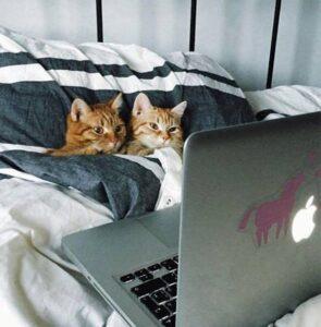 5 фильмов, которые спасут ваши отношения 🎬💔. фильмы, отношения, психология, кино, любовь