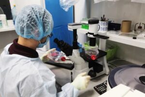 Эпштейну предлагали поучаствовать в проекте создания «дизайнерских детей». Речь шла о генетической модификации репродуктивных клеток человека, чтобы будущие поколения могли унаследовать улучшенные физические качества. 🧬 Майкл Бишоп, называвший себя «безумным учёным», искал финансирование для своих экспериментов. В 2018 году он предложил Эпштейну стать инвестором проекта с бюджетом в $9,5 млн. 💰 Лаборатория, где проводились эксперименты, находилась в Киеве, в Институте геронтологии. Там учёные работали с мышами, вводя им генетический материал и применяя электрические разряды. Бишоп считал, что в Украине законы менее строги, чем в США, что делает её идеальной площадкой для таких исследований. 🇺🇦 Эпштейн, известный своей одержимостью распространением своей ДНК, ответил: «Мне нравится имплантировать эмбрион и ждать девять месяцев». Однако проект так и не был реализован. 🚫 Что это было? Амбициозная попытка изменить будущее человечества или просто ещё одна странная история из жизни финансиста? 🤔. Эпштейн, генетика, Украина, Майкл Бишоп, дизайнерские дети