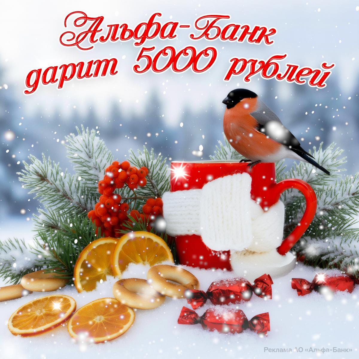 Альфа-Банк запустил программу кэшбэка для пенсионеров. Альфа-Банк, пенсионеры, кэшбэк, финансы, экономика