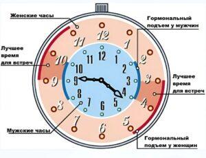 Когда лучше заниматься сексом: наука знает ответ 🕰️🔥. секс, нейробиология, гормоны, биоритмы, здоровье