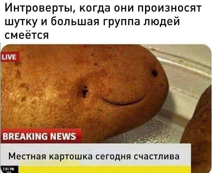 День любителей картошки: главное блюдо дня 🥔. картошка, еда, праздник, общество, культура