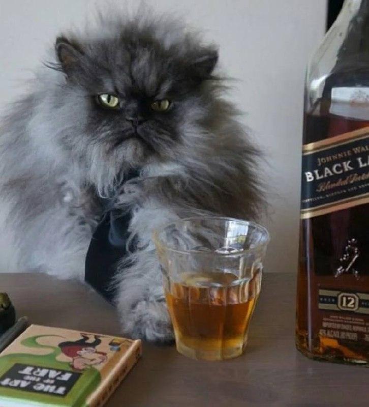 День шотландского виски: отмечаем с теми, кто рядом 🥃. Шотландский виски, День виски, Традиции, Алкоголь, Культура