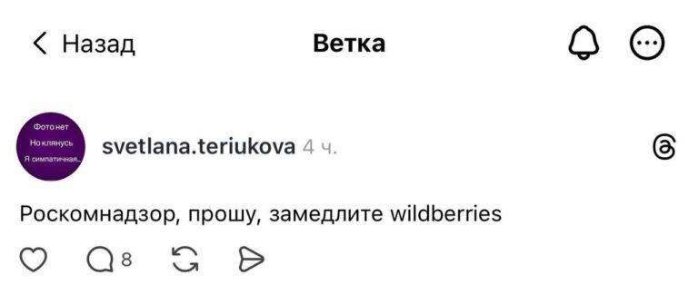 Девушки требуют блокировки Wildberries: кнопка «оформить заказ» слишком быстрая. Wildberries, РКН, шопинг, скандал, общество