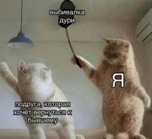 Февральский кармический коридор: астрологи советуют блокировать бывших 🚫. астрология, февраль, кармический коридор, бывшие, отношения