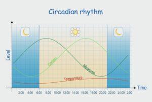 Мужские «месячные» существуют! Ученые подтвердили: у мужчин есть гормональные циклы, которые влияют на их настроение и поведение. Это явление получило название «irritable male syndrome». 🧠 В течение дня: Пик тестостерона приходится на раннее утро (6:00–8:00), что даёт энергию и повышает либидо. К вечеру (18:00–22:00) уровень гормона падает, вызывая усталость и раздражительность. В течение недели: Многие мужчины чувствуют себя более активными в начале недели (понедельник-вторник), но к концу (четверг-пятница) их мотивация снижается. В течение года: У некоторых пик тестостерона приходится на осень, а спад — на конец зимы и весну. Это влияет на общее состояние и настроение. Как это проявляется? Когда кортизол растёт, а тестостерон падает, мужчины становятся менее энергичными, теряют интерес к общению и замыкаются в себе. В отличие от женщин, которые во время месячных становятся эмоциональными, мужчины просто «отключаются». 🛋️ Теперь, если мужчина вдруг стал раздражительным без причины, дело, скорее всего, в гормонах. 💡. гормоны, мужчины, наука, здоровье, irritable male syndrome