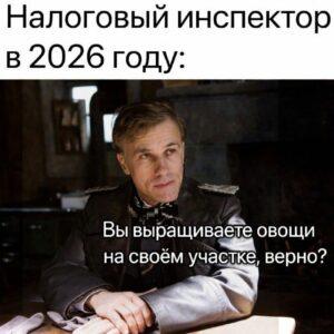 В Госдуме предложили россиянам выращивать огурцы на подоконнике. Госдума, Никита Чаплин, огурцы, подоконник, продовольственная безопасность