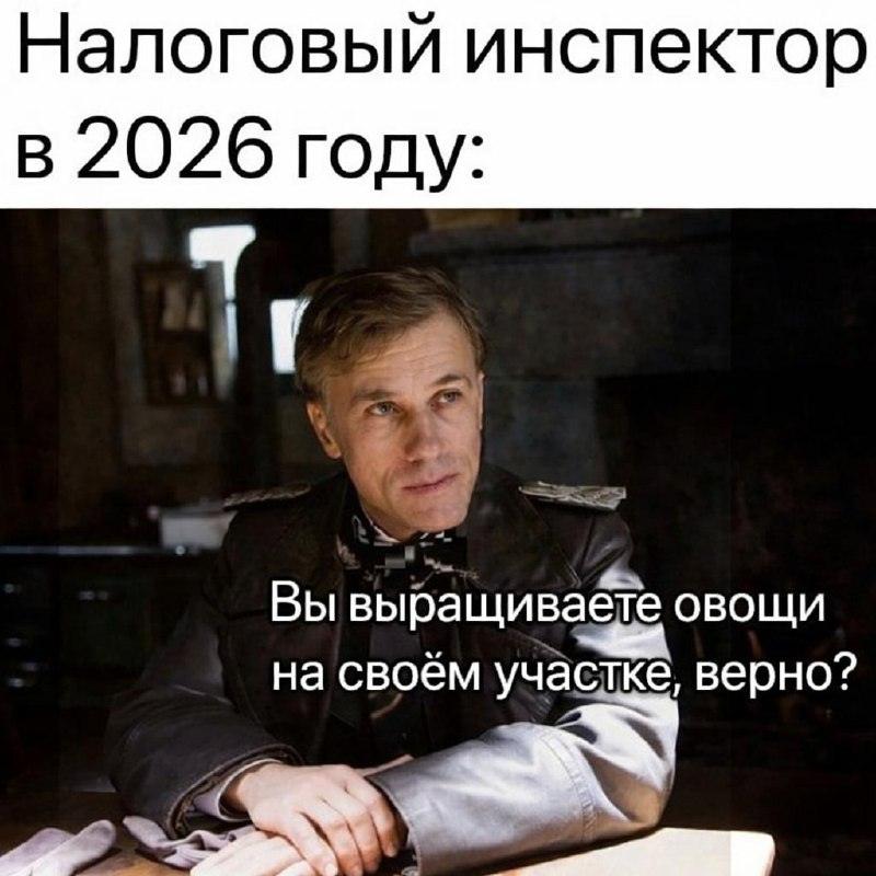 В Госдуме предложили россиянам выращивать огурцы на подоконнике. Госдума, Никита Чаплин, огурцы, подоконник, продовольственная безопасность