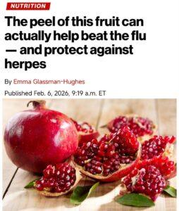 Гранат — ваш новый щит против вирусов 🛡️. гранат, вирусы, здоровье, иммунитет, пуникалагин