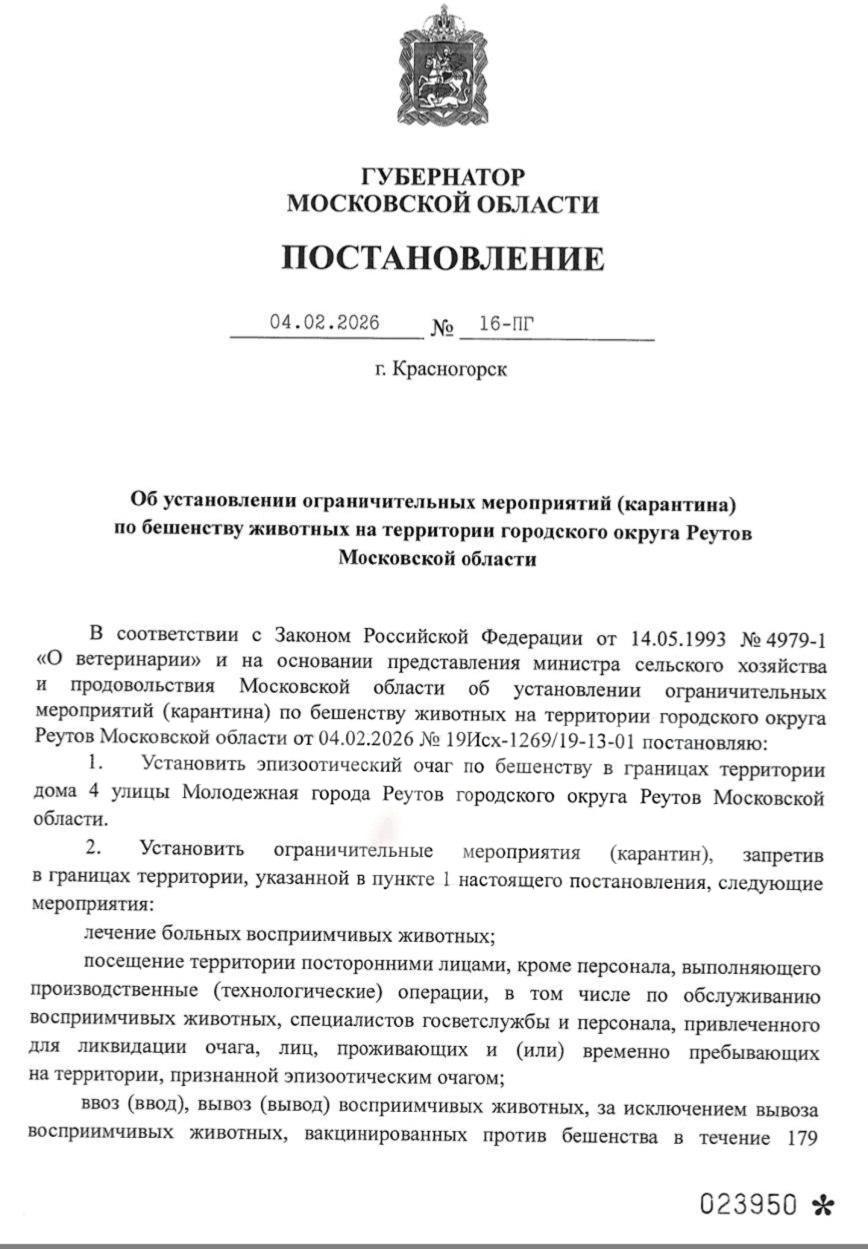 В Реутове введен карантин из-за выявления бешенства. Реутов, бешенство, карантин, происшествия, Подмосковье