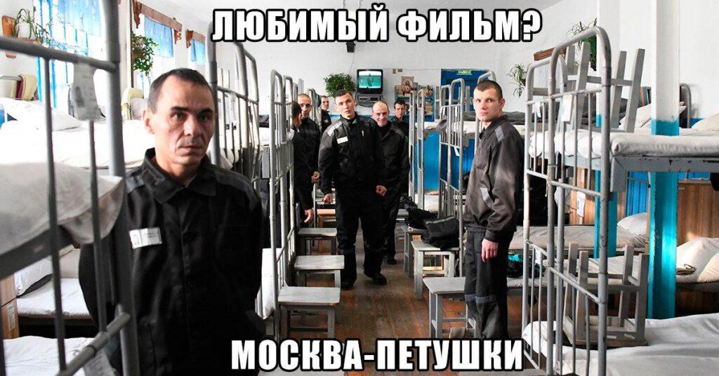 Кинотеатр за решеткой: мордовские колонии обзавелись оборудованием для кинопросмотров 🍿. Мордовия, колонии, кинотеатр, пожизненные заключённые, ИК-6