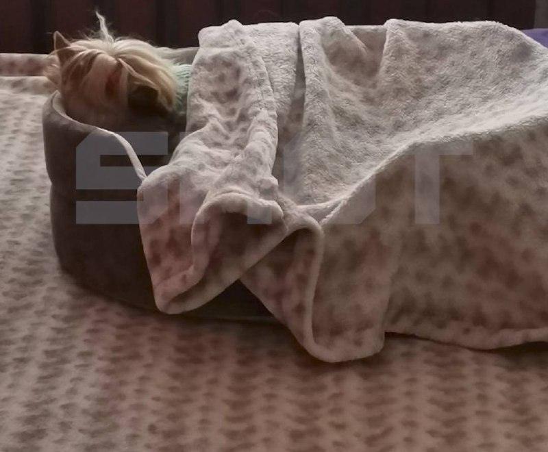 Ковров в холоде: котельная снова подвела 🥶. Ковров, котельная, авария, ЖКХ, Владимирская область