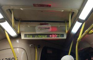 Лето в феврале: Южное Бутово в шоке 🌡️. Южное Бутово, Москва, Погода, Аномалии, Февраль