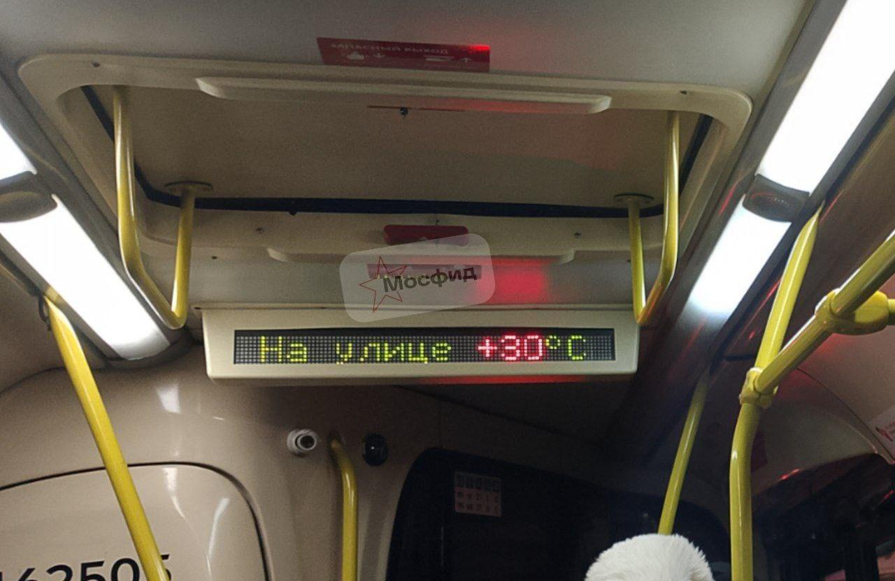 Лето в феврале: Южное Бутово в шоке 🌡️. Южное Бутово, Москва, Погода, Аномалии, Февраль