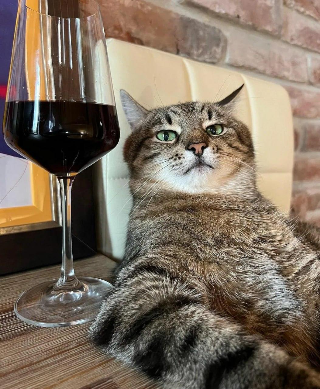 Сегодня — Международный день чудаков-одиночек 🎭. Чудаки-одиночки, Независимость, Уникальность, Общество, Праздники