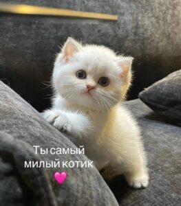 Сегодня — Международный день любви к себе. Поздравьте себя! 💅. Любовь к себе, Психология, Общество, Здоровье, Праздник