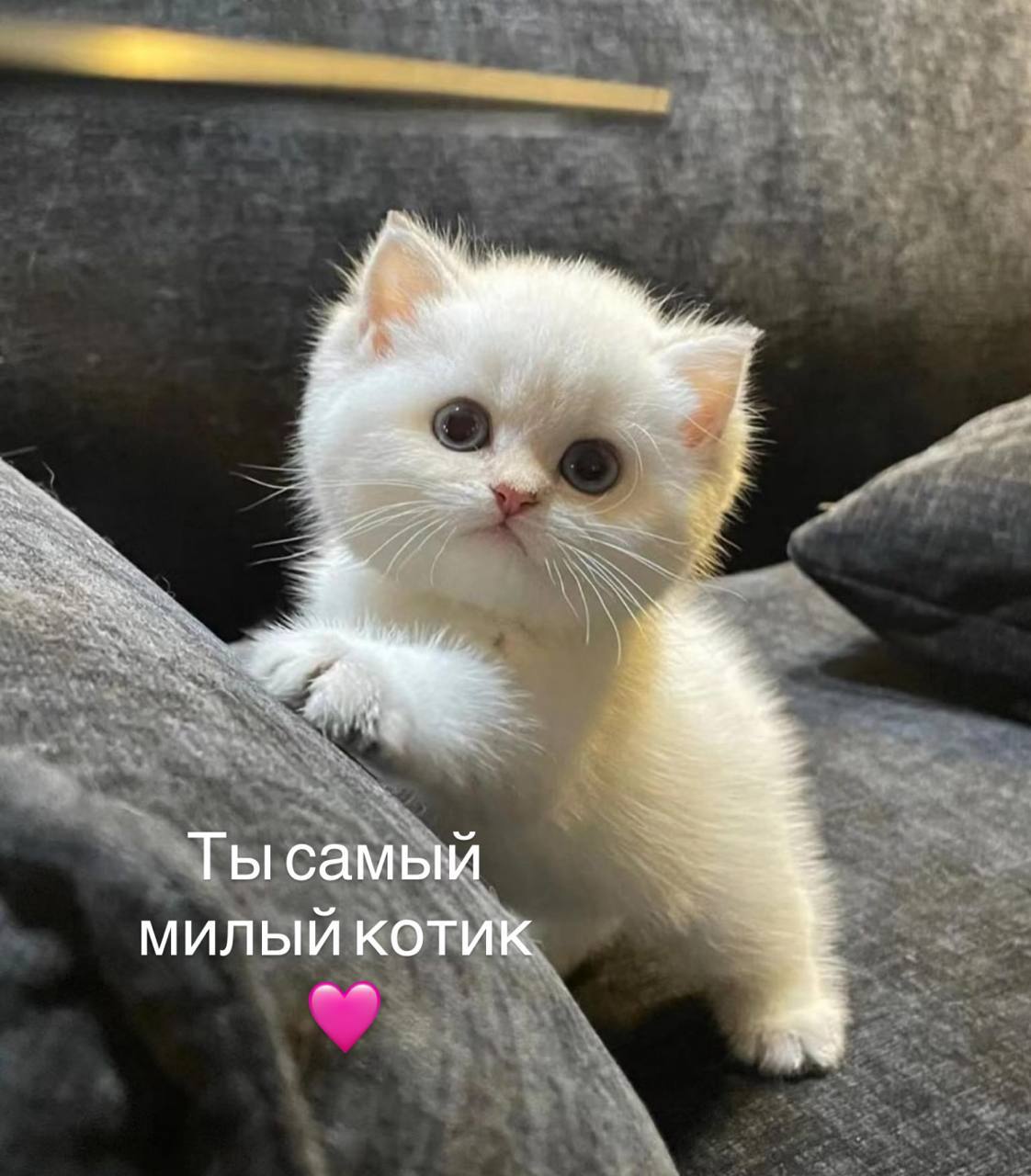 Сегодня — Международный день любви к себе. Отправляйте близким 💌. Любовь к себе, Психология, Общество, Праздники, Саморазвитие