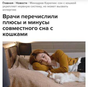 Минздрав Карелии советует спать с кошками 🐱. Минздрав Карелии, кошки, здоровье, сон, антистресс