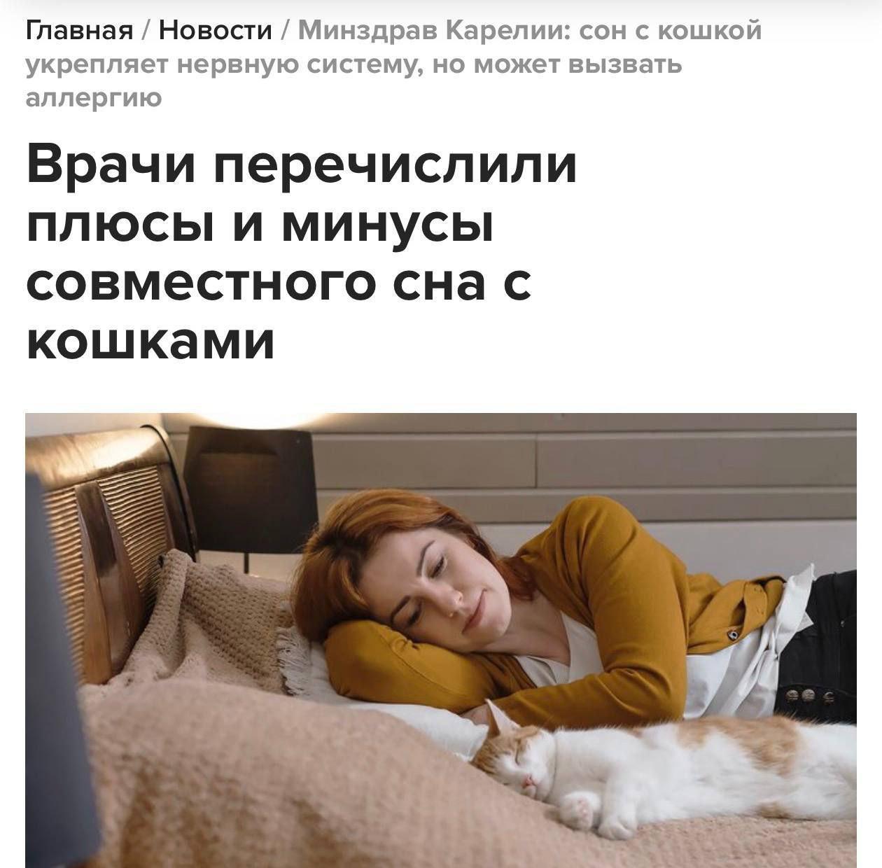 Минздрав Карелии советует спать с кошками 🐱. Минздрав Карелии, кошки, здоровье, сон, антистресс