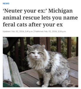 Месть бывшим теперь доступна за $25. Приют Heaven Can Wait Animal Haven в Мичигане предложил необычную акцию ко Дню святого Валентина: за донат в $25 (~2000₽) вы можете назвать бездомного кота или кошку именем вашего бывшего перед их кастрацией или стерилизацией. Акция стала вирусной буквально за сутки. Страница для пожертвований собрала $745 за первые 24 часа. Похоже, у многих накопились эмоции, которые теперь можно выразить через благотворительность. Лучшая месть? Возможно. Но точно оригинальная. Теперь ваш бывший может стать частью истории спасения животных, пусть и в виде кастрированного кота. P.S. Если вы вдруг узнали своё имя в списке, не обижайтесь — это ради благого дела. 😼. Мичиган, Приют для животных, Месть бывшим, Благотворительность, День святого Валентина