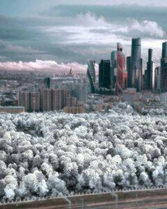 Москву снова завалит снегом: готовьтесь к хаосу ❄️. Москва, Снегопад, Погода, Собянин, Транспорт