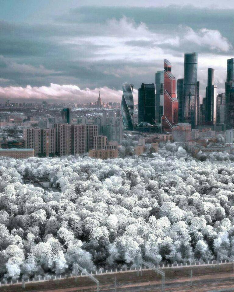 Москву снова завалит снегом: готовьтесь к хаосу ❄️. Москва, Снегопад, Погода, Собянин, Транспорт