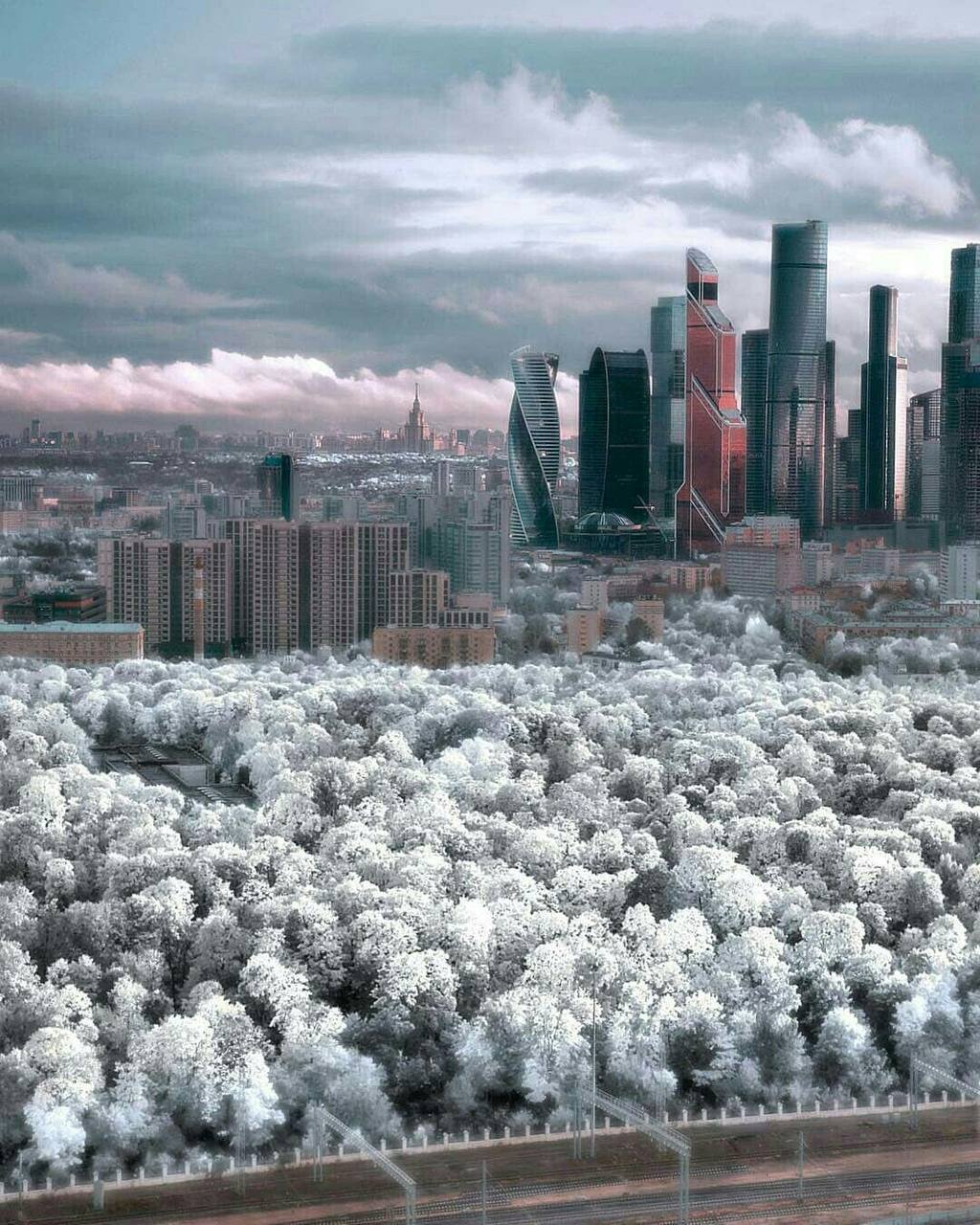 Москву снова завалит снегом: готовьтесь к хаосу ❄️. Москва, Снегопад, Погода, Собянин, Транспорт