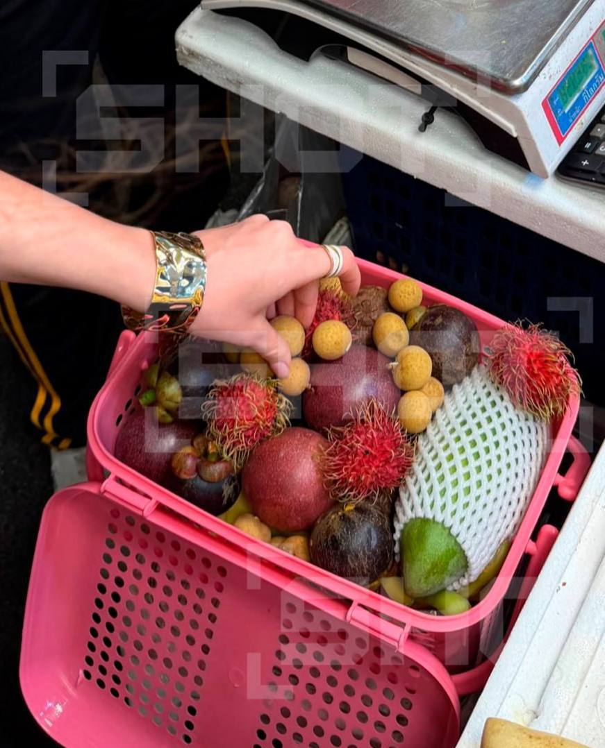 Москвичка ищет геккона, прилетевшего из Таиланда 🦎. Москва, Таиланд, геккон, Пхукет, происшествия