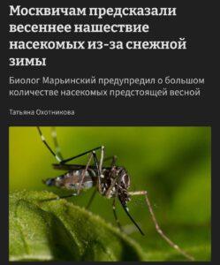 Москву ждет нашествие насекомых после снежной зимы 🐜. Москва, насекомые, снежная зима, ученые, экология
