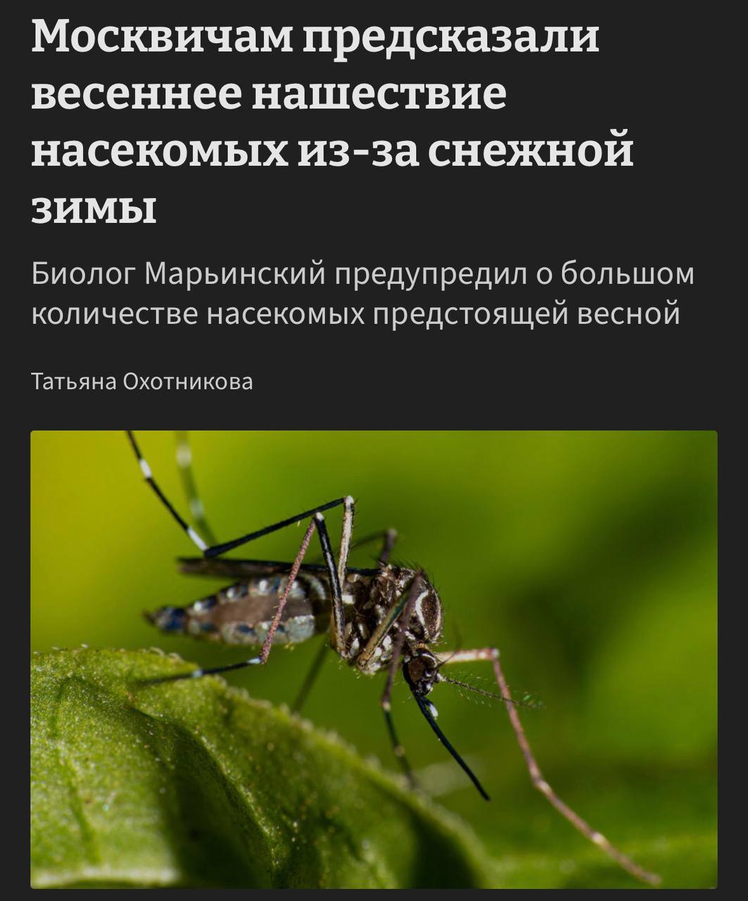 Москву ждет нашествие насекомых после снежной зимы 🐜. Москва, насекомые, снежная зима, ученые, экология