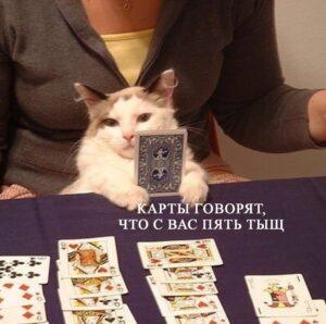 Онлайн-гадалки зарабатывают на россиянах более 2 млрд рублей в год. онлайн-гадания, экстрасенсы, эзотерика, доходы, Россия