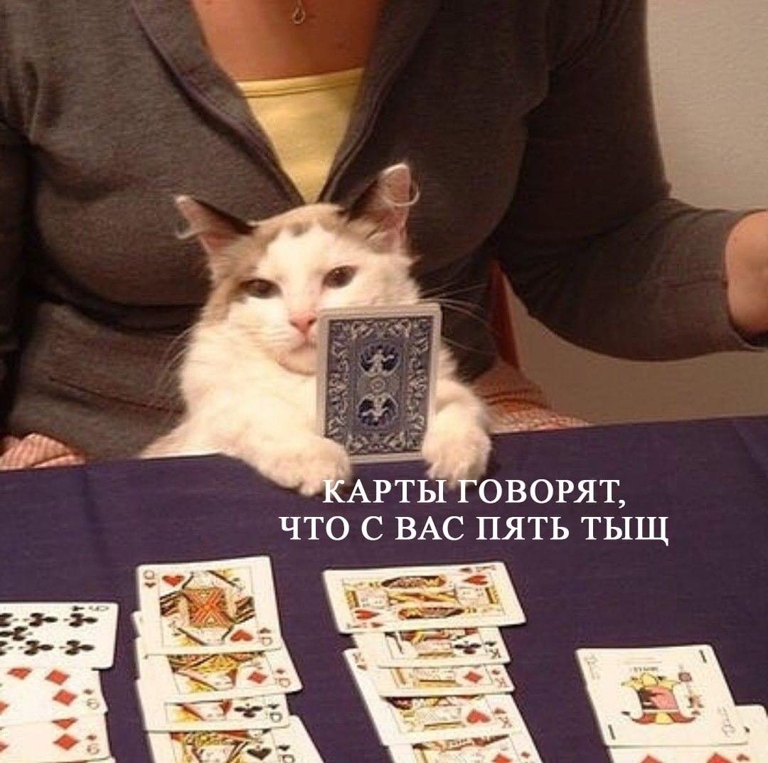 Онлайн-гадалки зарабатывают на россиянах более 2 млрд рублей в год. онлайн-гадания, экстрасенсы, эзотерика, доходы, Россия