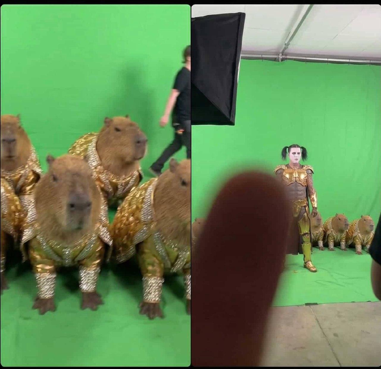 Ганвест решил устроить настоящий визуальный взрыв. На днях он показал фотографии со съёмок своего нового клипа, и это уже стало мемом. В кадре — гигантская голова «Шнейне», которая выглядит как нечто среднее между скульптурой и персонажем из фильма ужасов. Рядом — капибары в золотых костюмах, которые явно претендуют на звание самых стильных животных года. А ещё армия лягушек Пепе, которые, судя по всему, готовы захватить мир. Сколько золота ушло на этот проект? Вопрос риторический. Но одно можно сказать точно: это будет легендарно. Или хотя бы очень странно. 🐸 Клип обещает стать культовым, а пока можно только гадать, что ещё приготовил Ганвест. Остаётся ждать премьеры и надеяться, что она не разочарует.. Ганвест, Шнейне, капибары, лягушки Пепе, клип