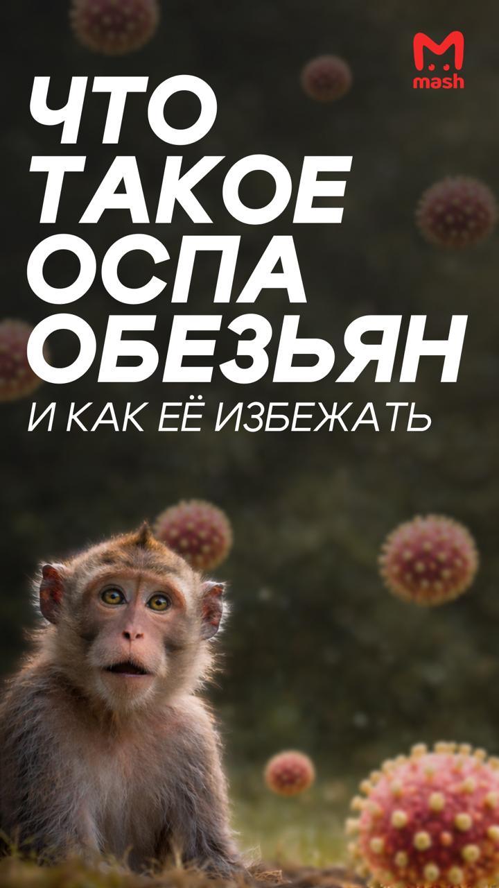 Оспа обезьян добралась до России 🐒. оспа обезьян, Домодедово, здоровье, Подмосковье, эпидемия