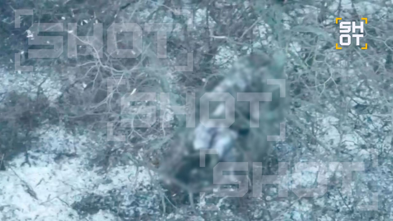 Купянское направление, Харьковская область — С начала года на окраинах Купянска зафиксирована гибель около 100 военнослужащих Вооружённых сил Украины (ВСУ) из-за экстремальных холодов и отсутствия снабжения. По данным источника SHOT, логистика ВСУ на данном направлении полностью нарушена, что привело к катастрофическим последствиям. Военнослужащие, занявшие блиндажи в лесополосах, оказались отрезаны от поставок тёплой одежды и продовольствия. Основные потери зафиксированы в 14-й, 43-й и 116-й отдельных мотопехотных бригадах ВСУ. Попытки перебросить подкрепления через реку Оскол были пресечены российскими войсками. Оставшиеся в живых бойцы ВСУ пытаются выжить, разводя костры и укрываясь в импровизированных убежищах. Однако такие укрытия быстро обнаруживаются с помощью дронов, после чего по ним наносится огневое поражение. Только за первые дни февраля было уничтожено не менее 10 подобных объектов.. ВСУ, Купянск, Харьковская область, логистика, блиндажи