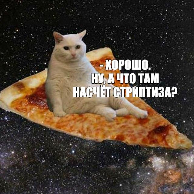 Пицца и стриптиз: два праздника в один день 🍕💃. Пицца, Стриптиз, Праздники, Культура, Общество