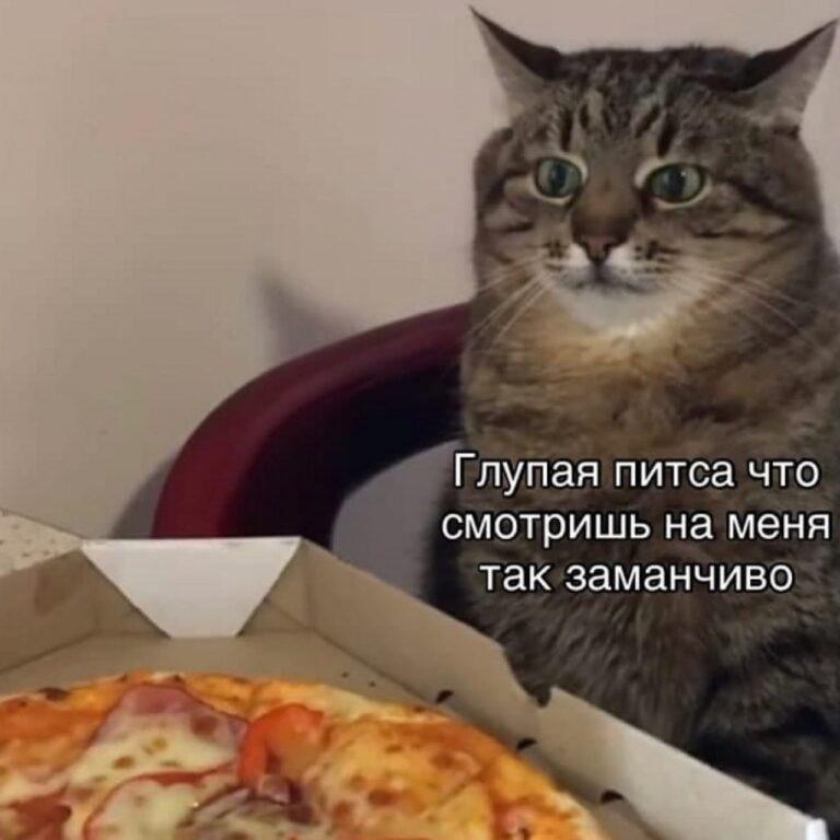 Пицца на работе: как офисные праздники превращают вас в шарик 🍕. пицца, здоровье, офис, набор веса, ЗОЖ