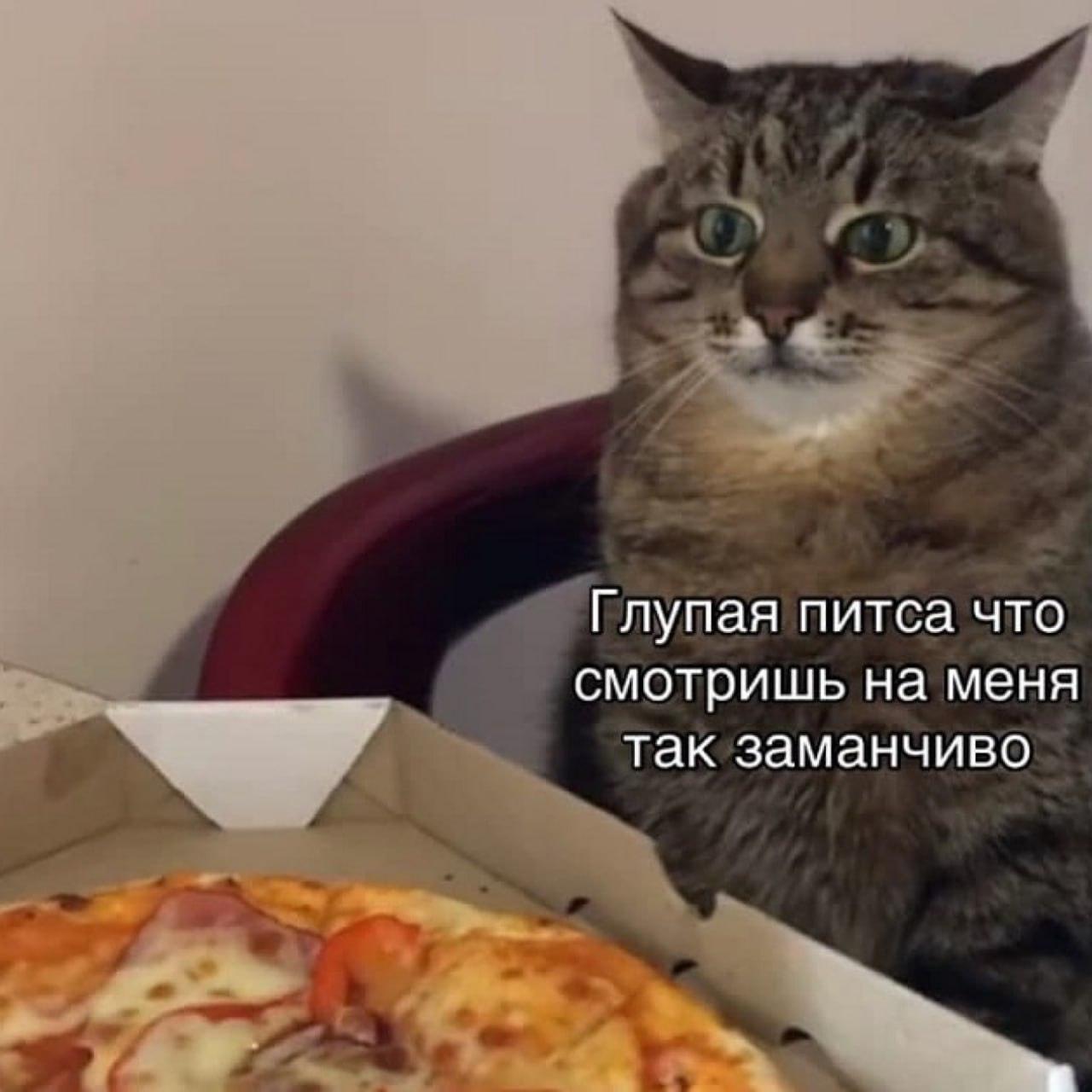 Пицца на работе: как офисные праздники превращают вас в шарик 🍕. пицца, здоровье, офис, набор веса, ЗОЖ